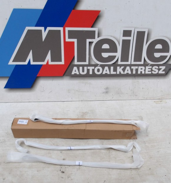 (R/DB) [GYRI J]  BMW ELS AJT TMTS (A oszlop) | X5 / X7 | 5176